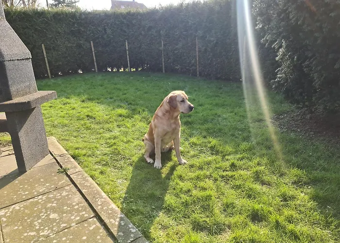 Nyaraló Haus Blume Carolinensiel