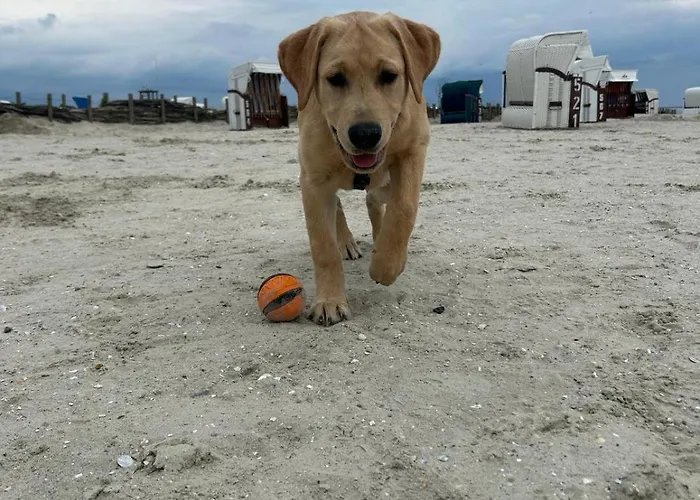 Haus Blume Nyaraló Carolinensiel