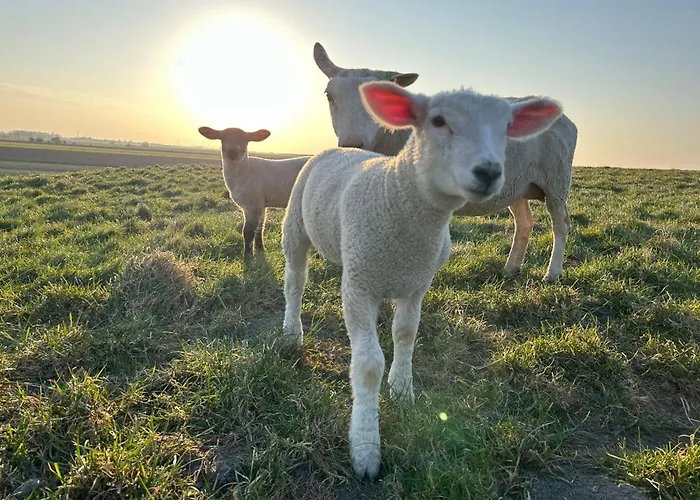 Nyaraló Haus Blume *